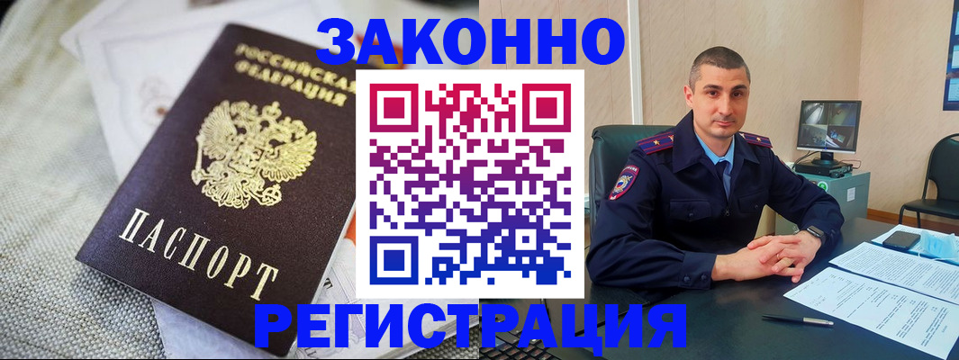 прописка 2025 в Елизово